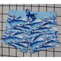 Baby smelting Baby Yamp shark 2 years buy in online store