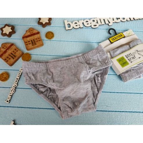 Panties Jacky & Tommy 98-104 (2pcs in UP) gray buy in online store