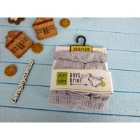 Panties Jacky & Tommy 98-104 (2pcs in UP) gray buy in online store