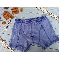 COZZI Boxers 122-128 (1pc) buy in online store 2