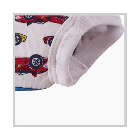 Budkid training panties size -2t buy in online store