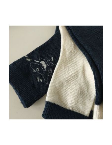 Socks Lupilu Shark 3pcs Size 27-30 buy in online store