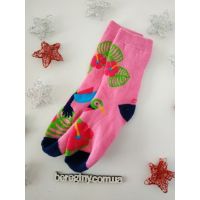 Socks terry hummingbirds size 27-30 buy in online store