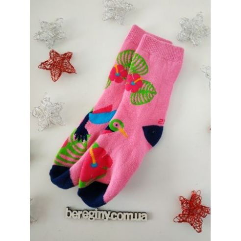 Socks terry hummingbirds size 27-30 buy in online store