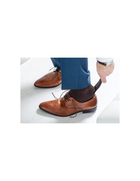 Spoon horn for shoes buy in online store