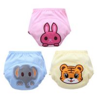Hani 100 Pink Training Panties buy in online store