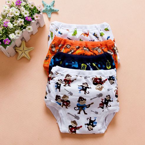 Budkid training panties size -3T (markdown) buy in online store