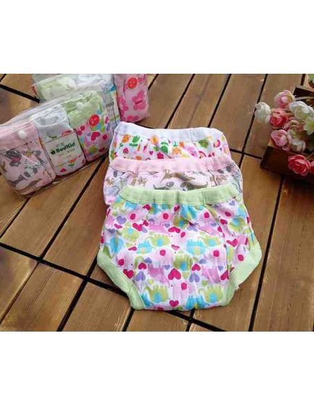 Budkid training panties size -18t (markdown) buy in online store Budkid training panties size -18t (markdown) buy in online store