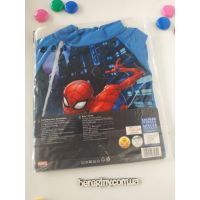 Sunbathing Spider Man buy in online store 2