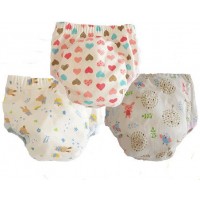 Cotton panties with bamboo absorbing layer buy in online store