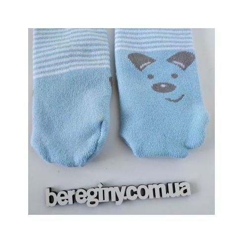 Socks terry without heel 1-2 years - blue buy in online store