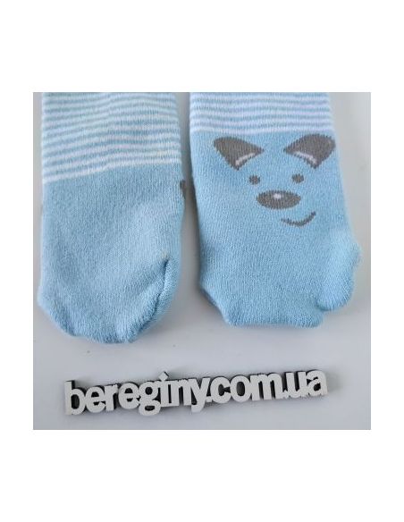 Socks terry without heel 1-2 years - blue buy in online store
