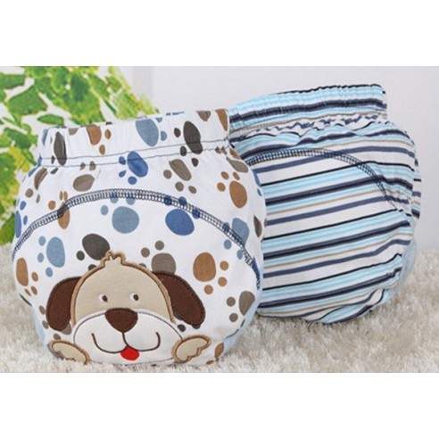 Catasy training panties - 2pcs. Size L. buy in online store