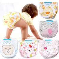 Catasy training panties - 2pcs. Size L. buy in online store