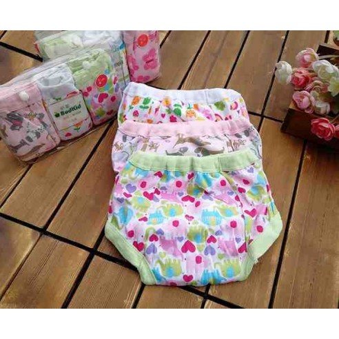 Budkid training panties size -18t buy in online store