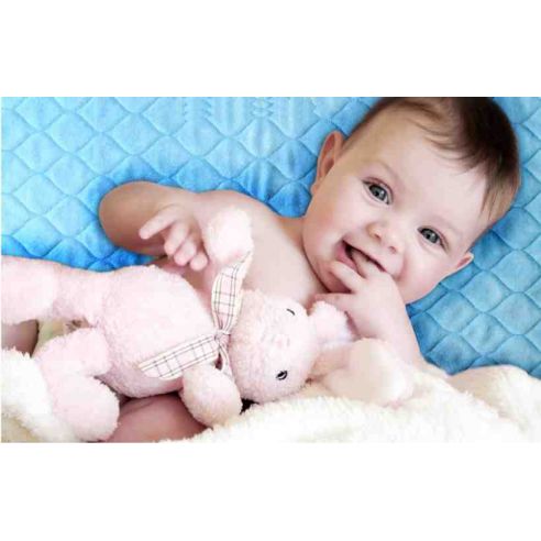 Double-sided cotton Mahra's cotton + nice. Breathable membrane + microfiber buy in online store