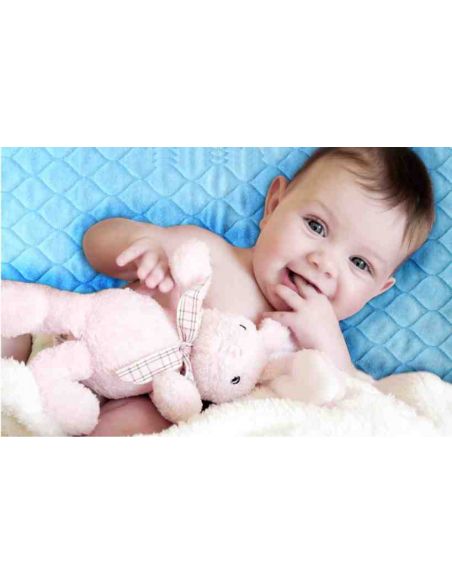 Double-sided cotton Mahra's cotton + nice. Breathable membrane + microfiber buy in online store