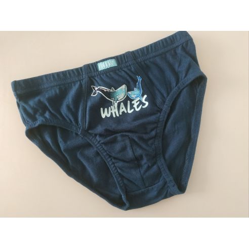 Panties pelican - size 6 years buy in online store