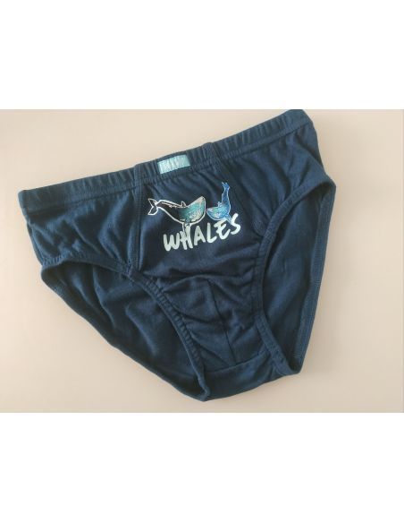 Panties pelican - size 6 years buy in online store
