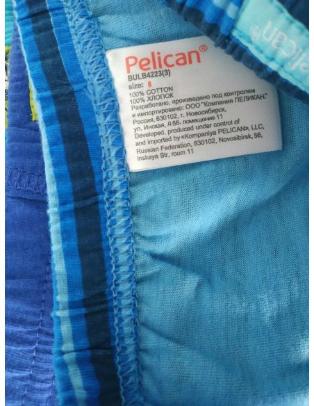 Panties Pelican - size 4 years buy in online store