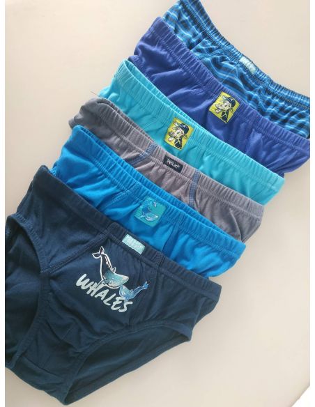 Panties Pelican - size 4 years buy in online store