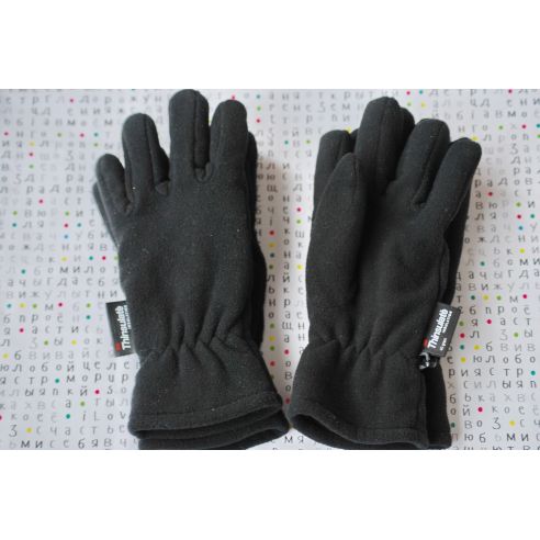 Receptions from fleece with polar insulation Thinsulate buy in online store