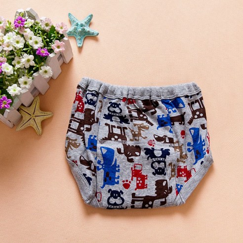 Budkid training panties size -18t buy in online store