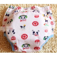 Training Panties Economy Option buy in online store 2