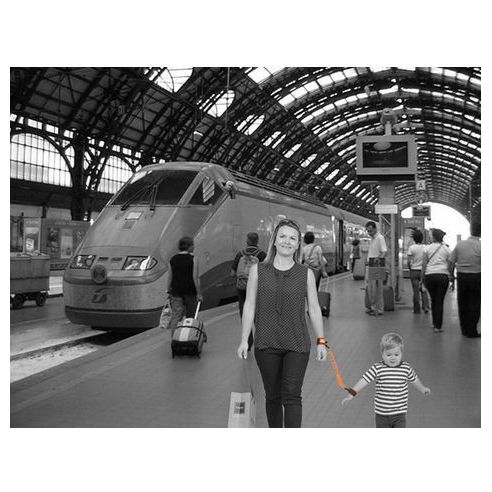 Safety-spring handle for walking (with lock and whistle) buy in online store
