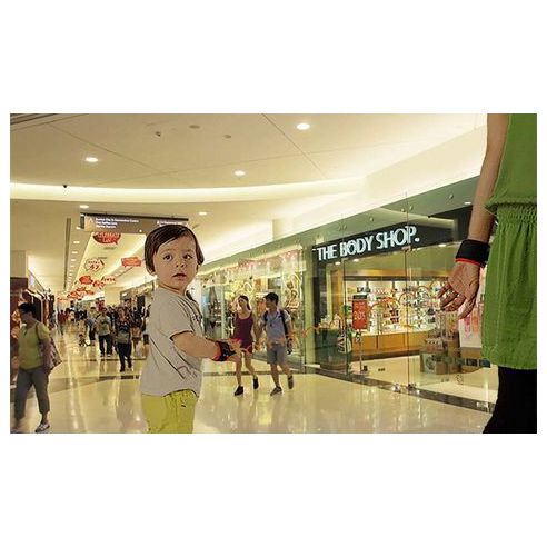Safety-spring handle for walking (with lock and whistle) buy in online store
