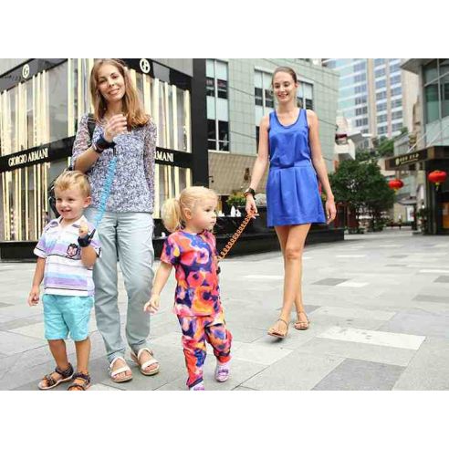 Safety-spring handle for walking (with lock and whistle) buy in online store