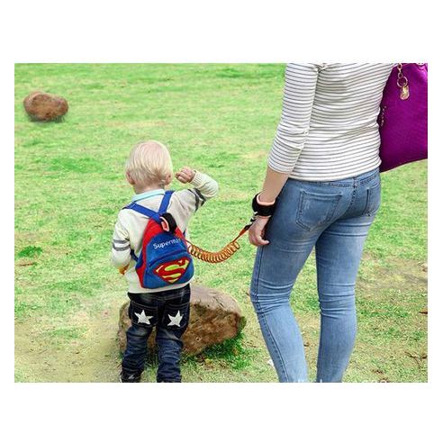 Safety-spring handle for walking (with lock and whistle) buy in online store