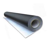 Cretaceous Board Self-tech on cut 120cm buy in online store