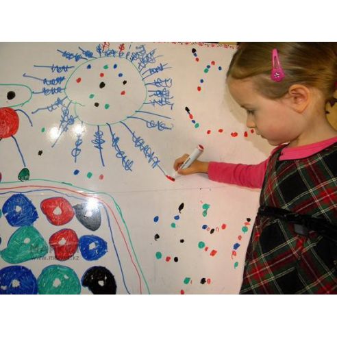 Marker Board Selfclock on a cut 100cm buy in online store