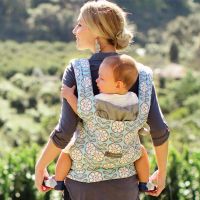 Ergo Backpack Ergobaby Backpack Petunia Pickle Bottom - Peaceful Portofino buy in online store 2
