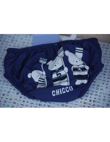 Baby swimming pool and sea - Barshie Chicco buy in online store Baby swimming pool and sea - Barshie Chicco buy in online store