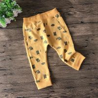 Cotton pants Name IT excellent quality buy in online store