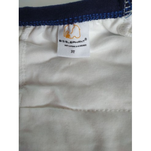Big Elephant Training Panties - 3T buy in online store