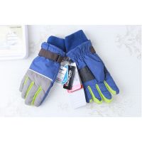 SHAMP Gloves with Polar Insulation Thinsulate Blue 10-12 buy in online store 2