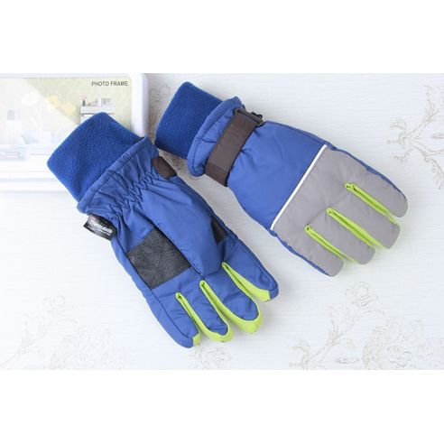 SHAMP Gloves with Polar Insulation Thinsulate Blue 10-12 buy in online store