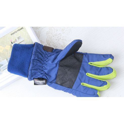 SHAMP Gloves with Polar Insulation Thinsulate Blue 10-12 buy in online store
