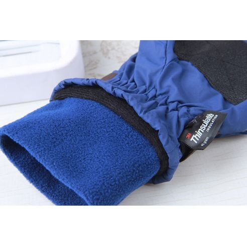 SHAMP Gloves with Polar Insulation Thinsulate Blue 10-12 buy in online store