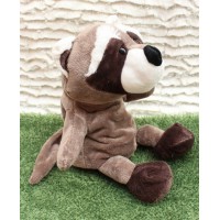 Raccoon Nici. buy in online store