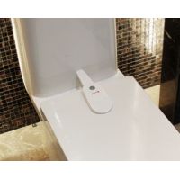 Castle on the toilet from children buy in online store