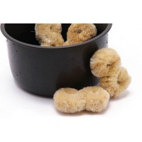 Multicooker Multi Coconut Bowl buy in online store