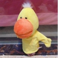 Nici duck buy in online store