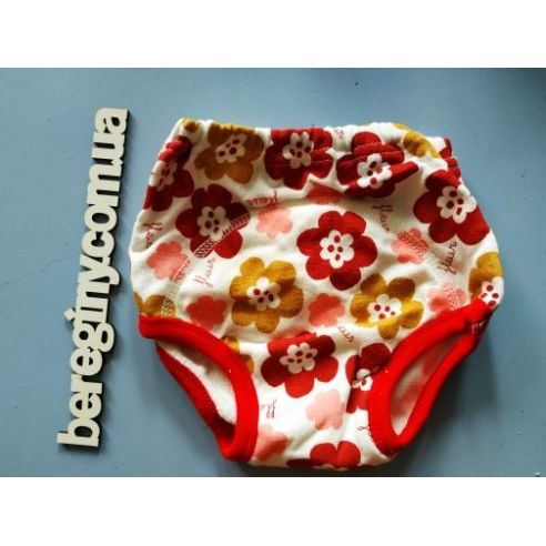 Disney Training Panties - Size 90 buy in online store