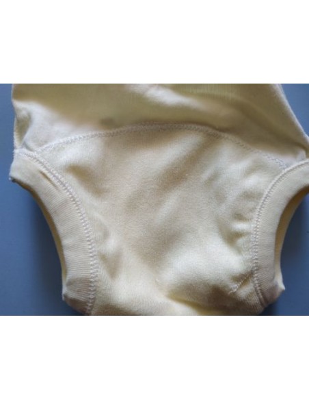 Training panties with bamboo absorbing layer s buy in online store