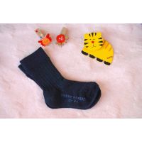 Terre Robert Termonoscale 21-24 Size number 8 buy in online store