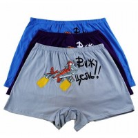 Men's panties Pelican - I see a goal. Sizes M and L buy in online store 2